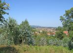 IMG_2616