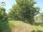 IMG_2617